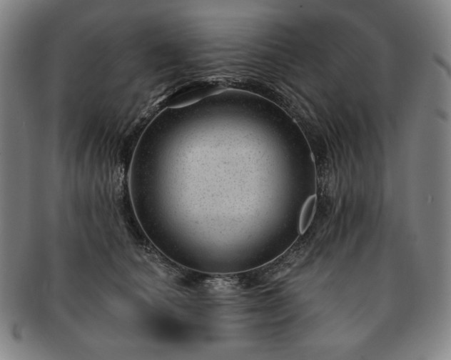 X0000091470660200708231339