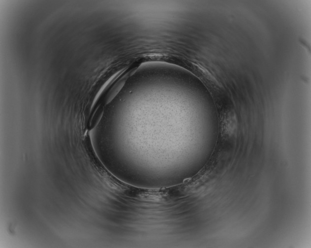 X0000091470661200708231339