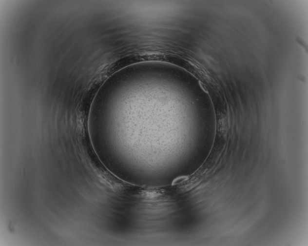 X0000091470662200708231339