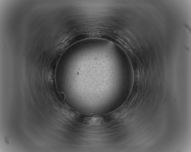 X0000091470663200708231339