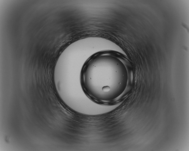 X0000091470664200708231339