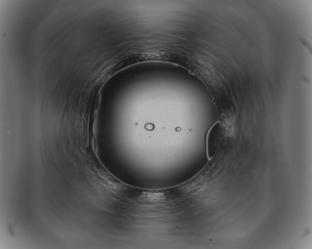 X0000091470665200708231339