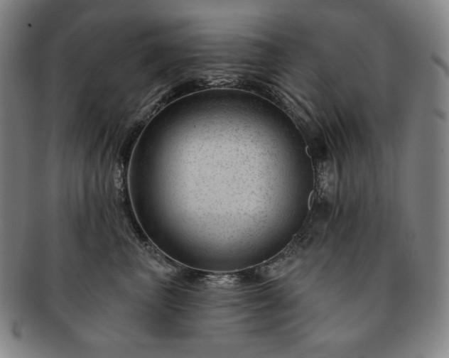 X0000091470667200708231339