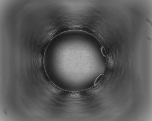 X0000091470668200708231339