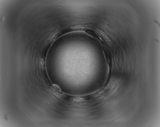 X0000091470669200708231339