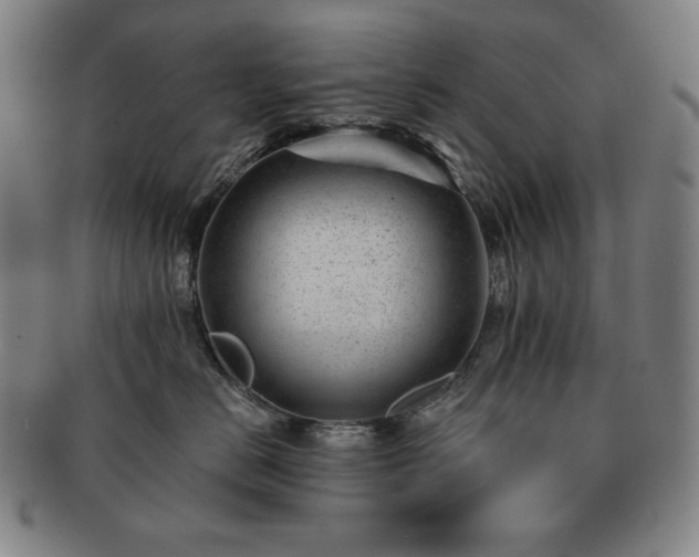 X0000091470670200708231339