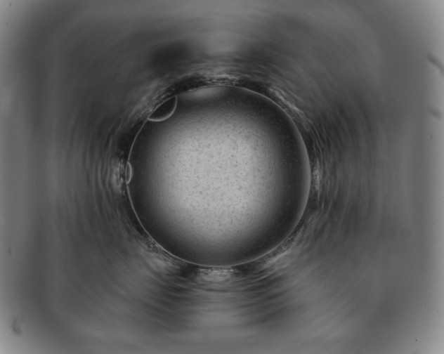 X0000091470671200708231339