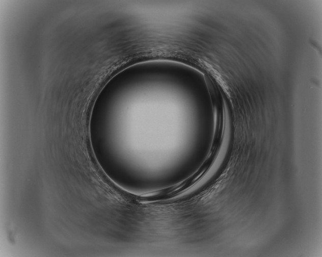 X0000091470673200708231338