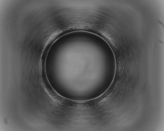 X0000091470678200708231338