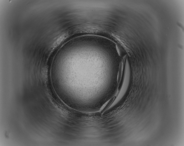 X0000091470679200708231338