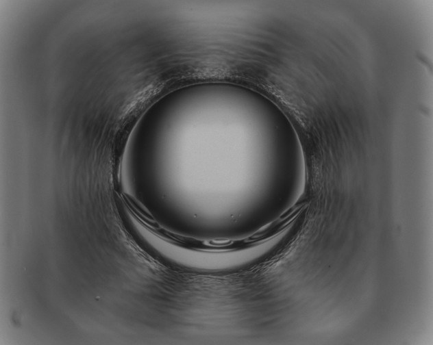 X0000091470681200708231338