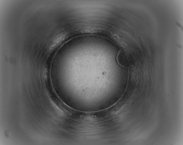 X0000091470683200708231338