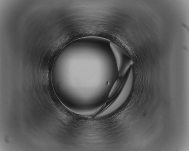 X0000091470685200708231338