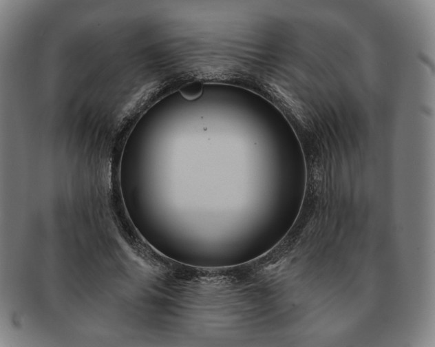 X0000091470686200708231338