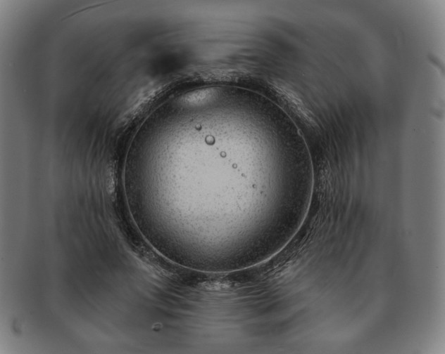 X0000091470687200708231338