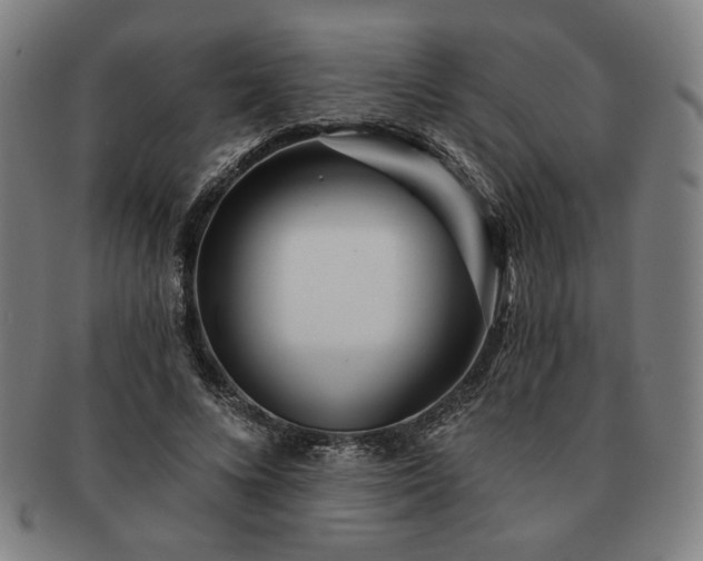 X0000091470688200708231338