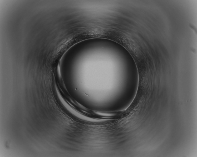 X0000091470689200708231338