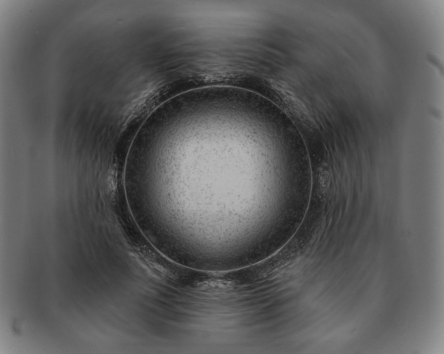 X0000091470691200708231338