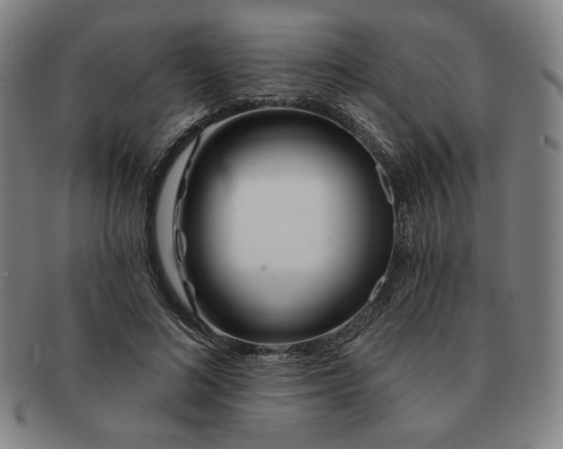 X0000091470692200708231338