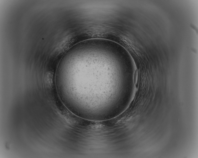 X0000091470695200708231338