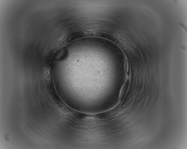 X0000091470699200708231338