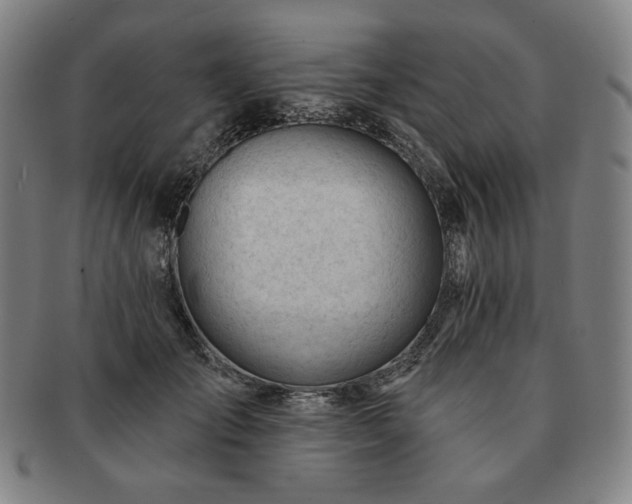 X0000091470701200708231338