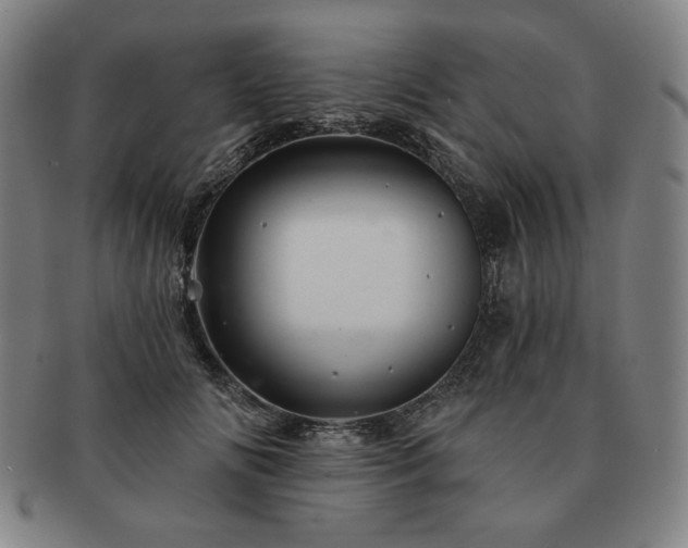 X0000091470702200708231338