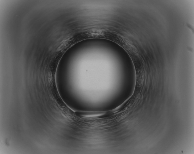 X0000091470704200708231338