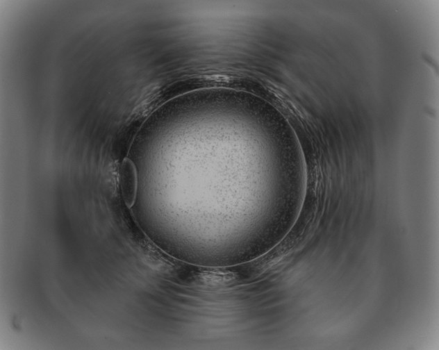 X0000091470707200708231338