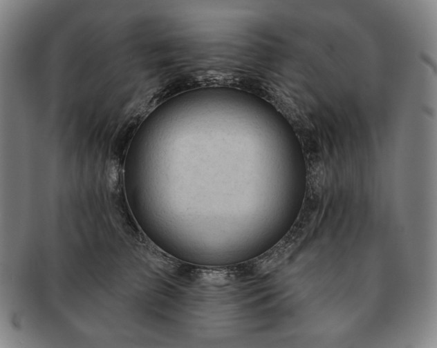 X0000091470709200708231338