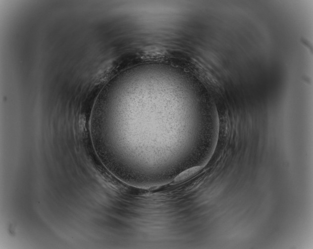 X0000091470711200708231338