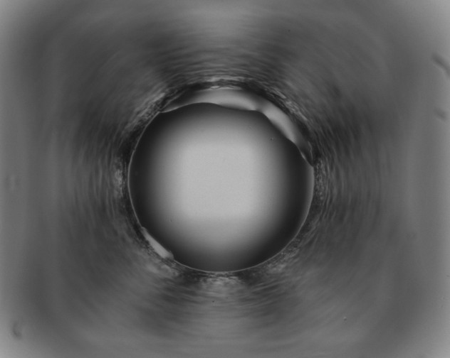 X0000091470716200708231338