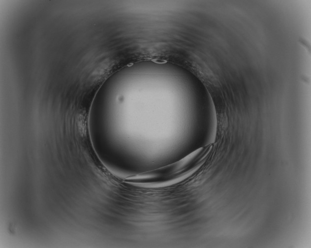 X0000091470719200708231338