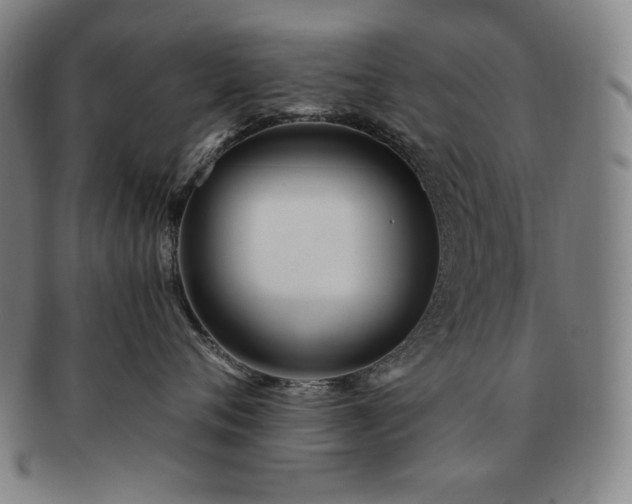 X0000091470720200708231338