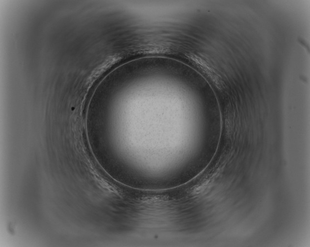 X0000091470721200708231337