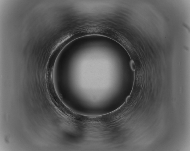 X0000091470722200708231337