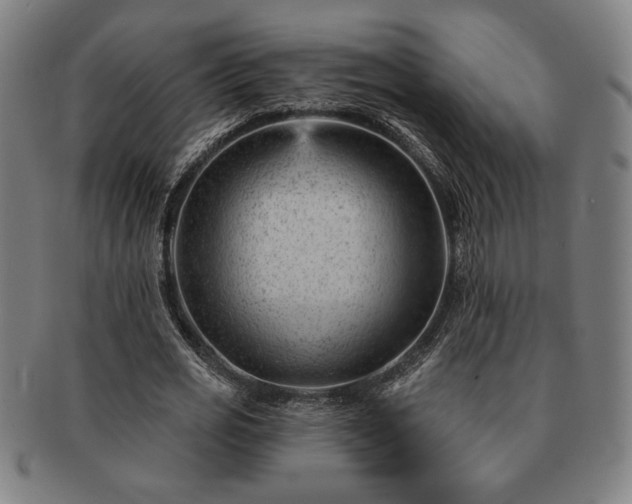 X0000091470725200708231337