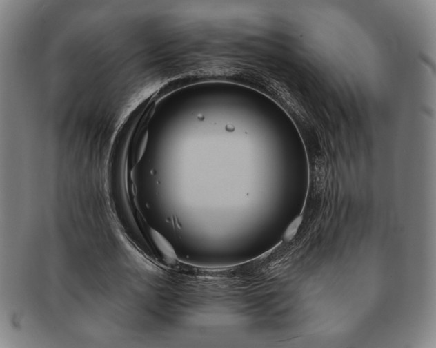 X0000091470726200708231337