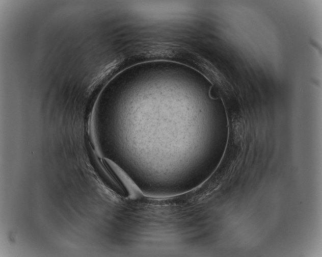 X0000091470729200708231337