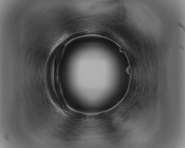 X0000091470730200708231337