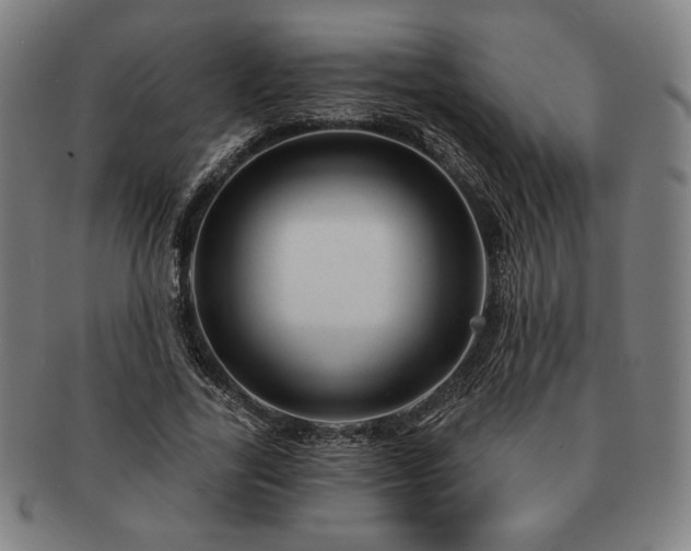 X0000091470731200708231337