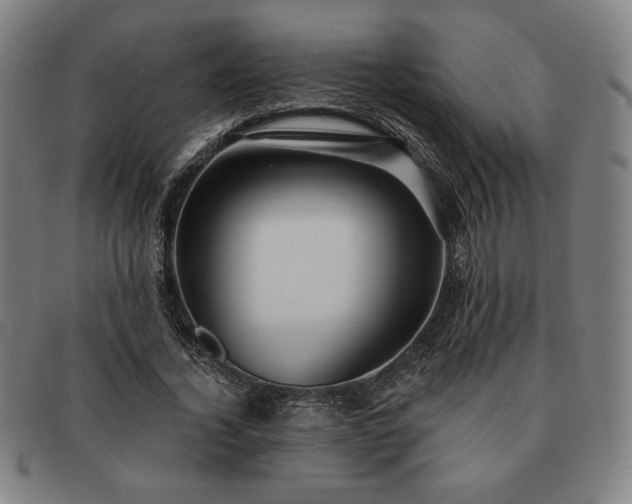 X0000091470732200708231337