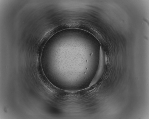 X0000091470733200708231337