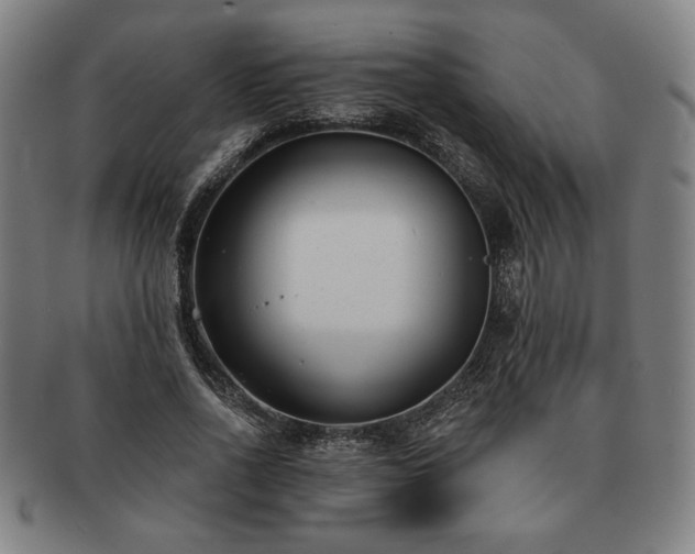 X0000091470734200708231337