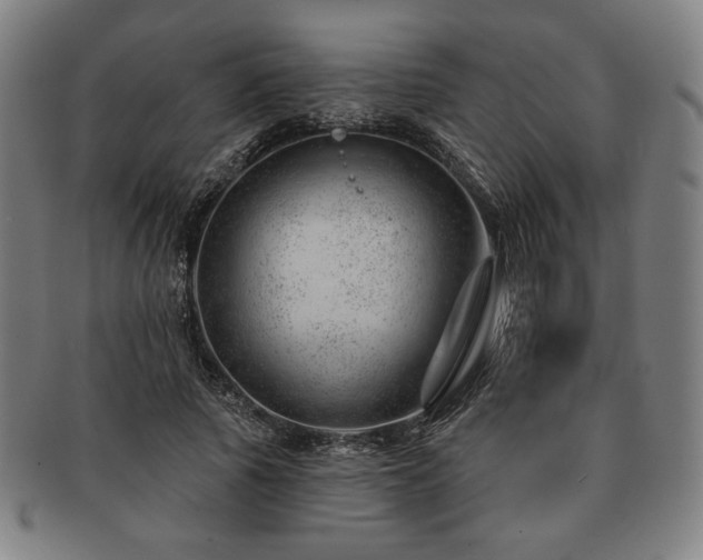 X0000091470737200708231337