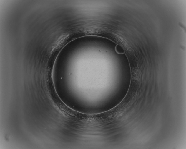 X0000091470738200708231337