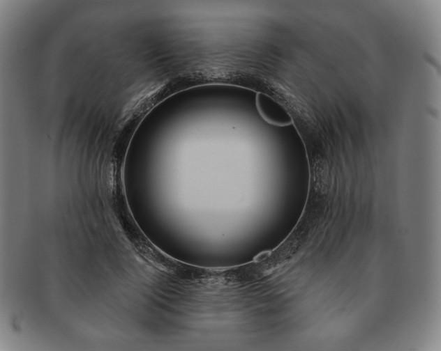 X0000091470740200708231337