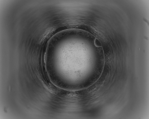 X0000091470742200708231337