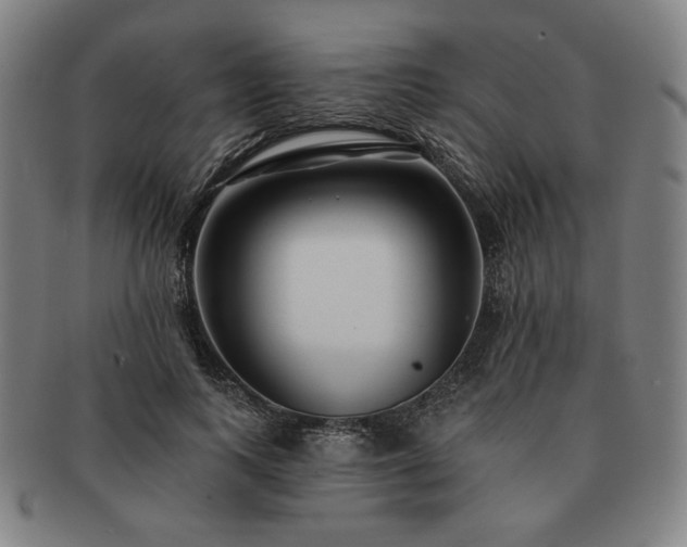 X0000091470743200708231337