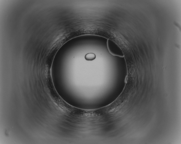 X0000091470744200708231337